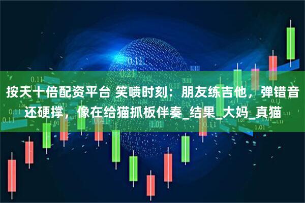 按天十倍配资平台 笑喷时刻：朋友练吉他，弹错音还硬撑，像在给猫抓板伴奏_结果_大妈_真猫