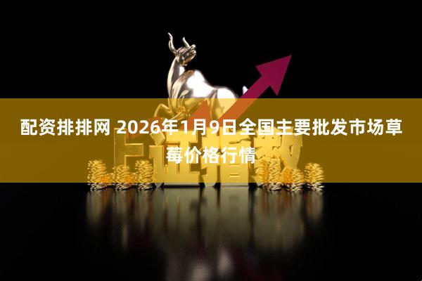 配资排排网 2026年1月9日全国主要批发市场草莓价格行情